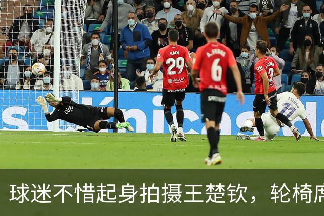 球迷不惜起身拍摄王楚钦，轮椅席成热闹“占位”场所